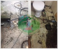 Cách xử lý mùi hôi bốc lên từ cống thoát nước nhà vệ sinh