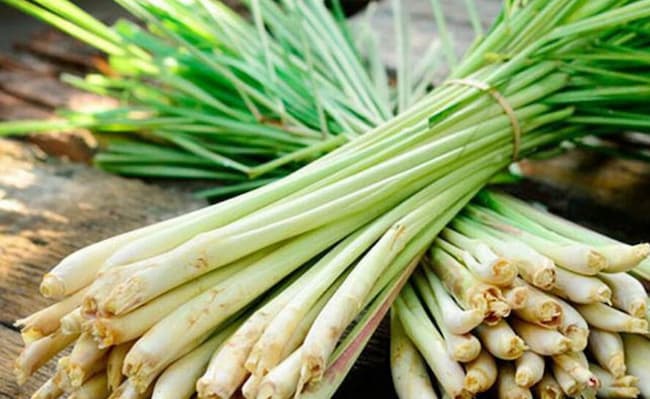 Nguy&ecirc;n liệu tự nhi&ecirc;n gi&uacute;p xử l&yacute; m&ugrave;i h&ocirc;i hiệu quả, kh&ocirc;ng độc hại