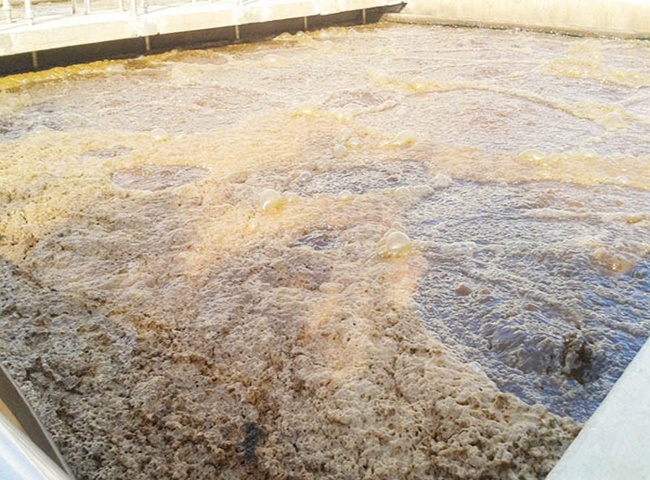 C&ocirc;ng ty cung cấp b&ugrave;n vi sinh quận 6 H&ograve;a Ph&aacute;t