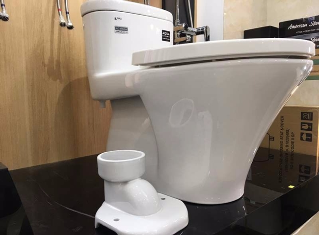 Cấu tạp của con thỏ bồn cầu