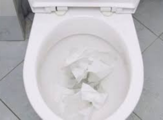 Trường hợp th&ocirc;ng tắc bồn cầu phường Long B&igrave;nh quận 9