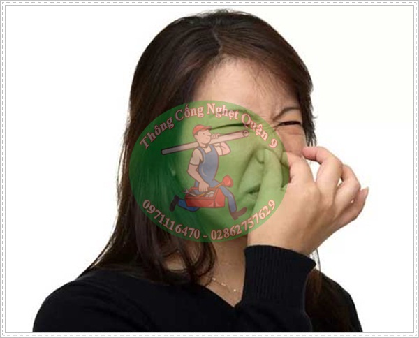 Nguy&ecirc;n nh&acirc;n nhà v&ecirc;̣ sinh thường xuy&ecirc;n bị nghẹt