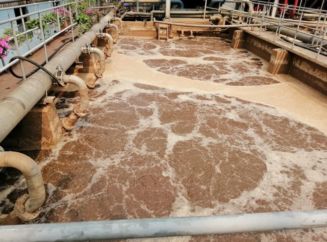 Đội ngũ thợ vận chuyển bùn vi sinh huyện Bình Chánh phục vụ 24/7