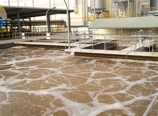 Top 5 c&ocirc;ng ty cung cấp vận chuyển b&ugrave;n vi sinh quận 3 gi&aacute; tốt