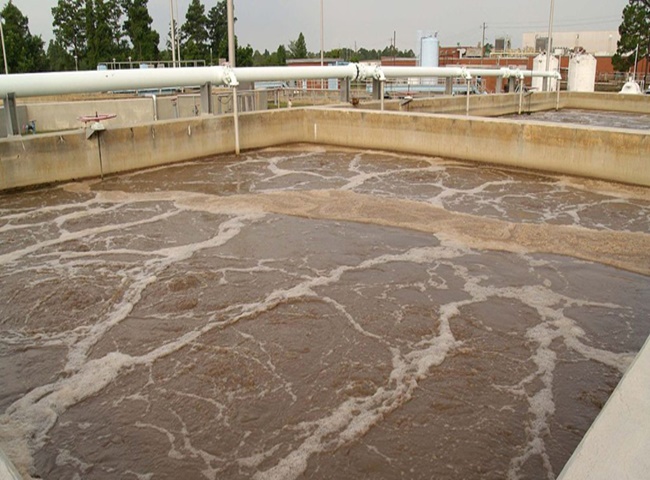 Vận chuyển b&ugrave;n vi sinh quận Ph&uacute; Nhuận gi&aacute; rẻ Minh Đức