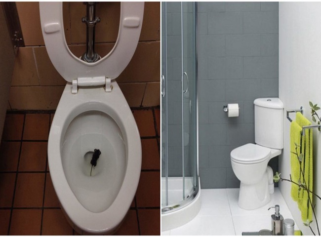 Top 5 c&ocirc;ng ty th&ocirc;ng bồn cầu quận 7