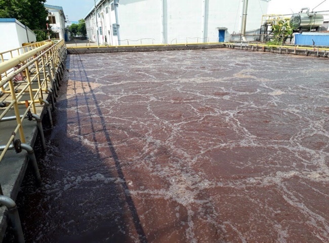 Vận chuyển b&ugrave;n vi sinh quận 6 chuy&ecirc;n nghiệp